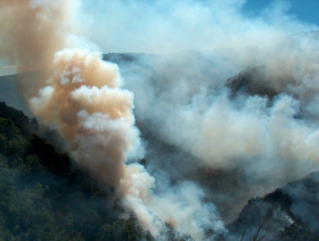 Incêndios - um flagelo que mina o futuro