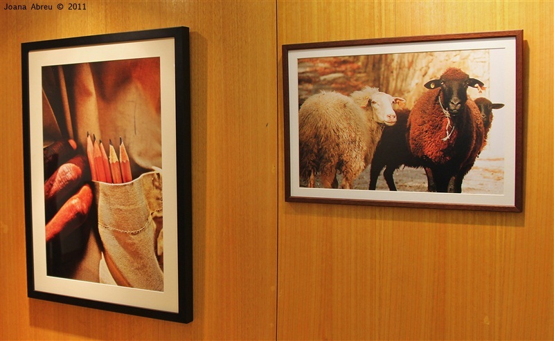 III Festival do Castanho - Exposição Inaugurada