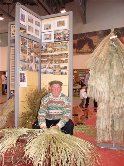 VII Feira da Vitela - O Outro Lado