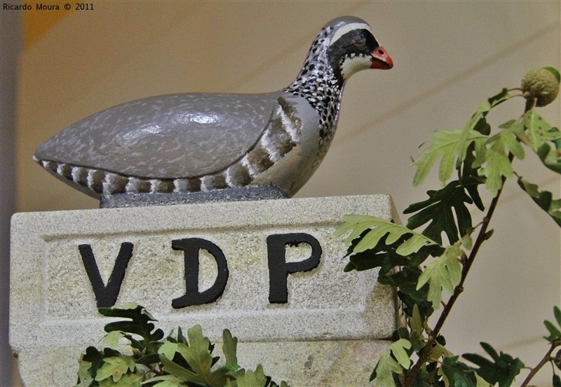 XXV Congresso Vilar de Perdizes Inaugurado