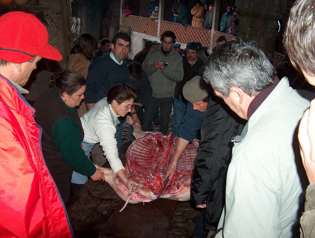 Festa do Porco Bísaro em Paredes do Rio a 11 de Dezembro
