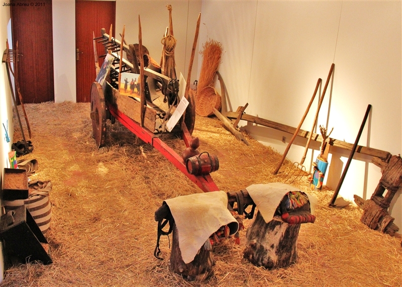 Ecomuseu de Pitões - Balanço Verão 2011