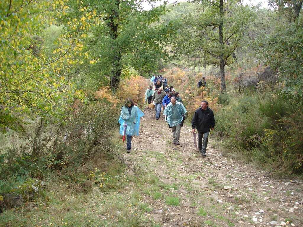 Fotos do VIII Encontro Micológico em Montalegre