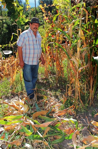 Desfolhada em São Lourenço - Cabril