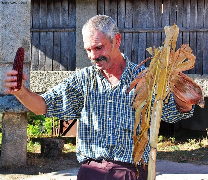 Desfolhada em São Lourenço - Cabril