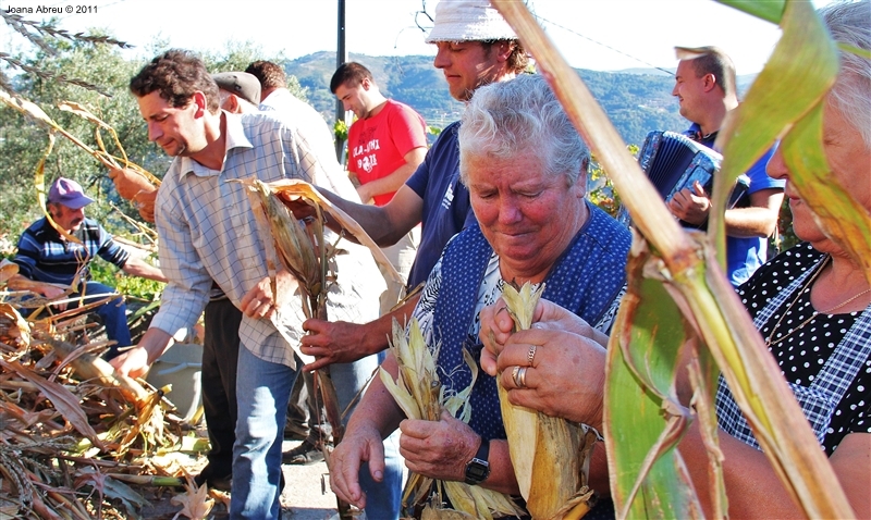 Desfolhada em São Lourenço - Cabril