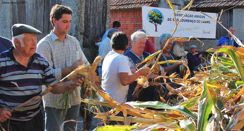 Desfolhada em São Lourenço - Cabril