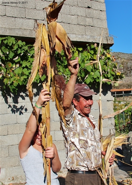 Desfolhada em São Lourenço - Cabril