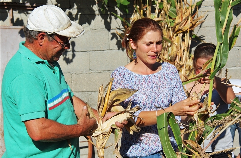 Desfolhada em São Lourenço - Cabril