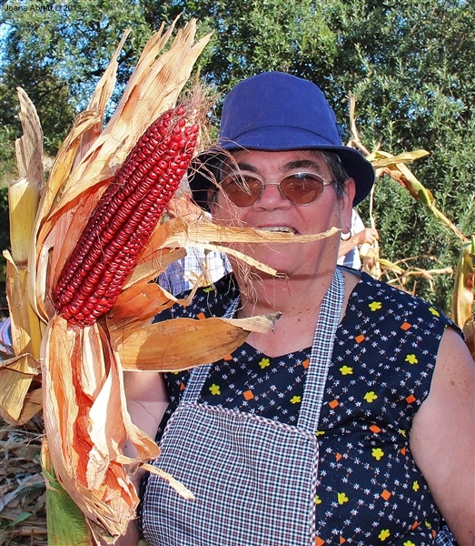 Desfolhada em São Lourenço - Cabril