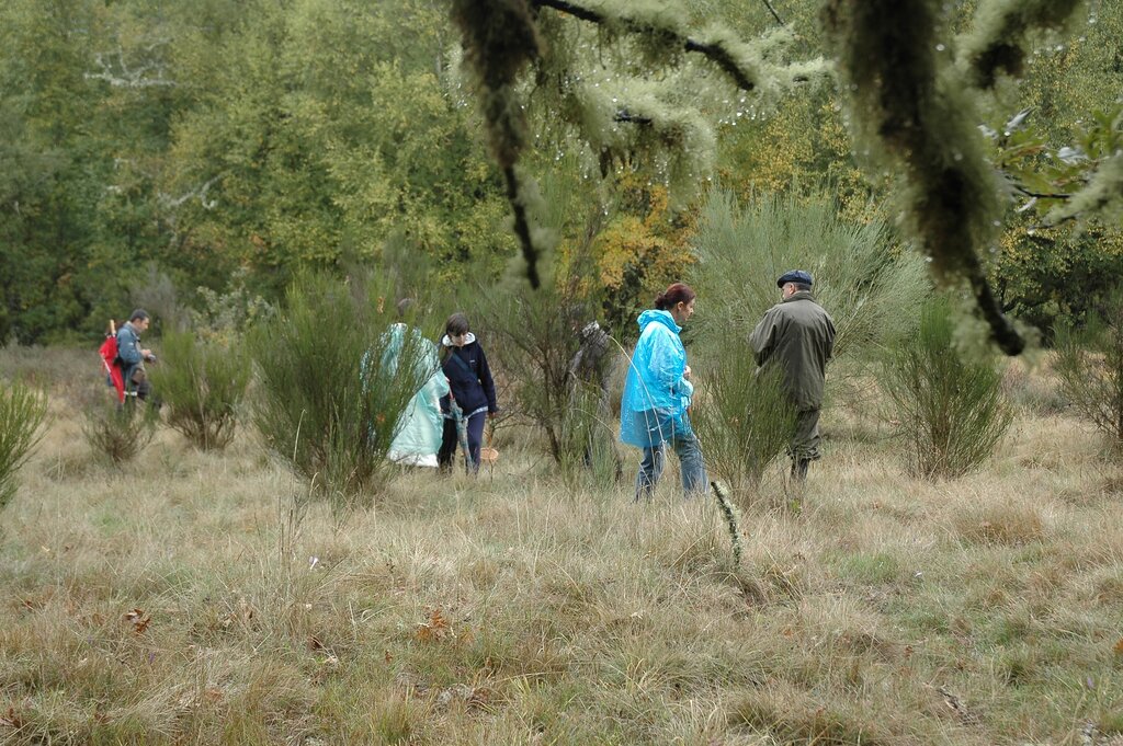 Fotos do VIII Encontro Micológico em Montalegre