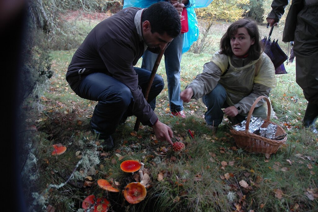 Fotos do VIII Encontro Micológico em Montalegre