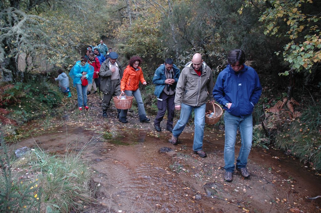 Fotos do VIII Encontro Micológico em Montalegre