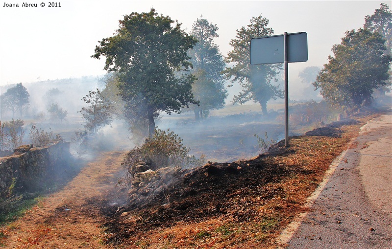 Incêndios - flagelo social