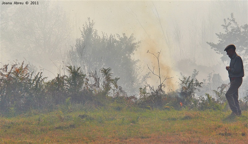 Incêndios - flagelo social