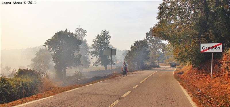 Incêndios - flagelo social