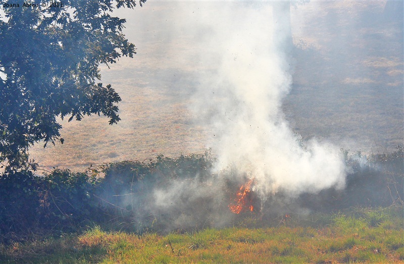 Incêndios - flagelo social