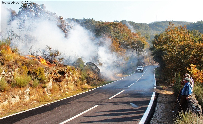 Incêndios - flagelo social
