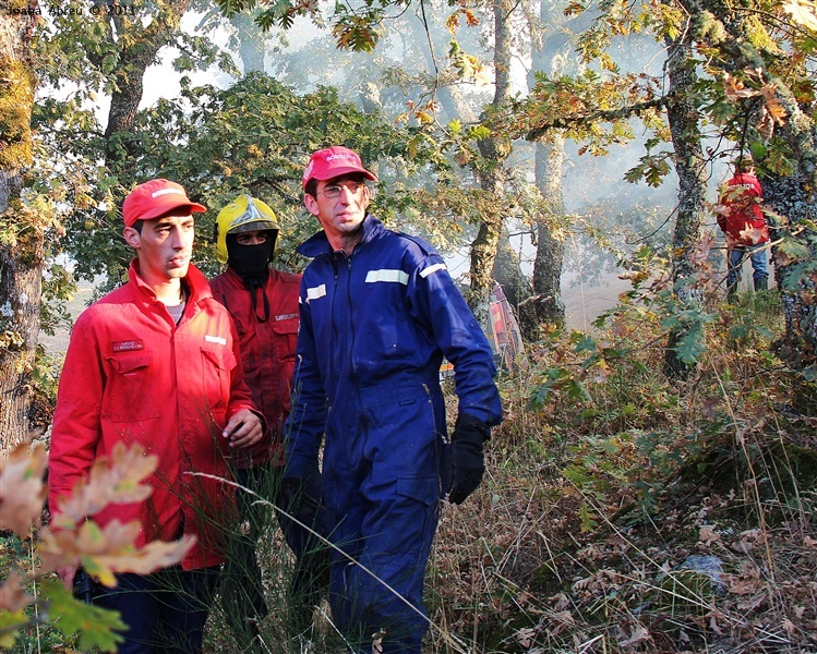 Incêndios - flagelo social