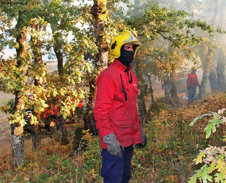 Incêndios - flagelo social