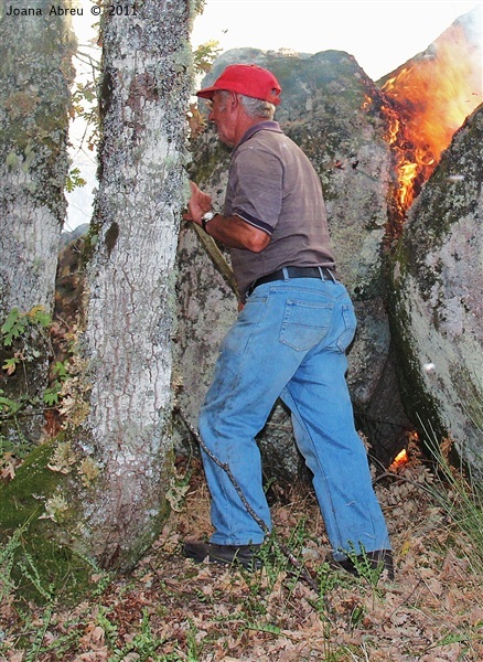 Incêndios - flagelo social