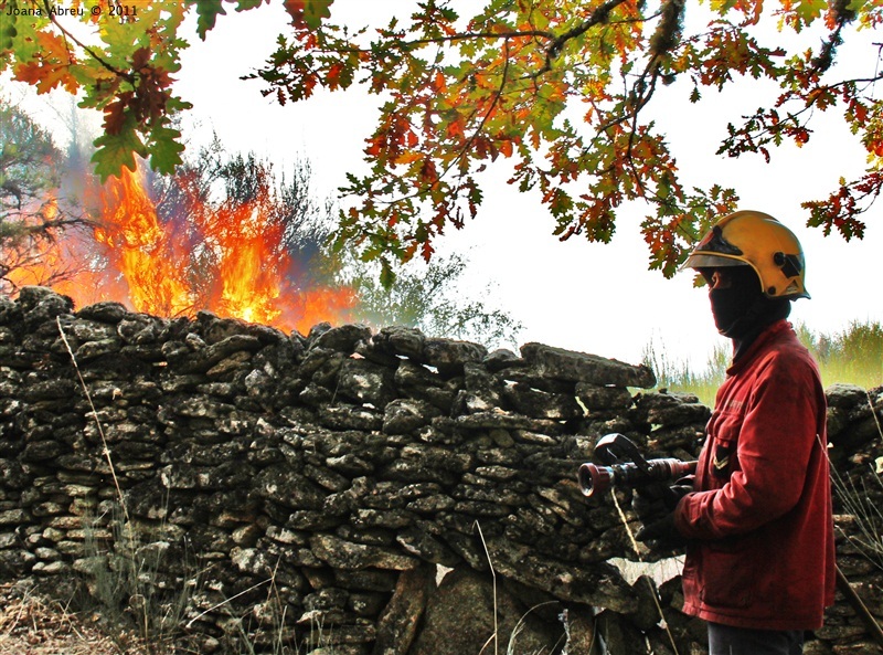 Incêndios - flagelo social
