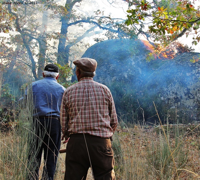 Incêndios - flagelo social