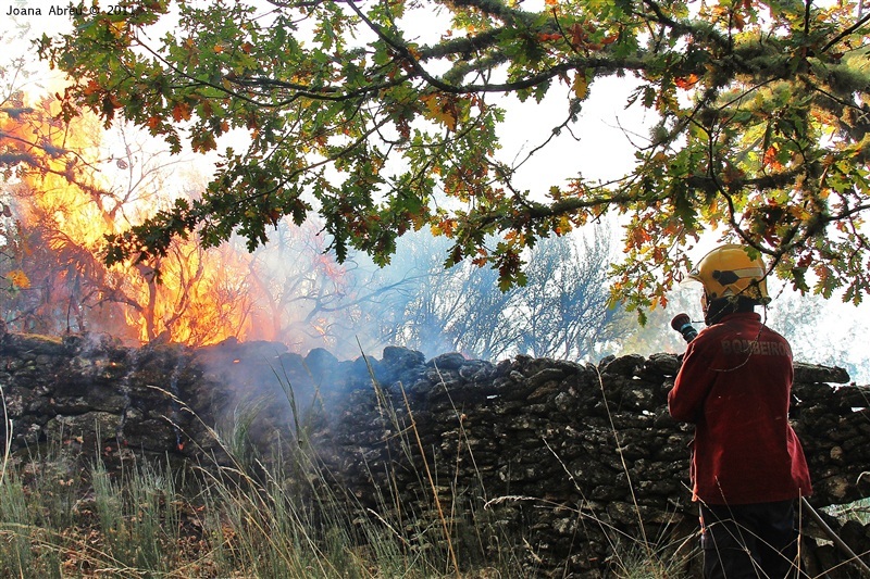 Incêndios - flagelo social