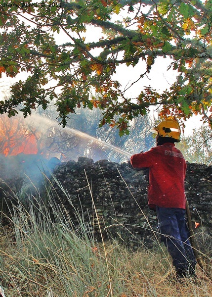 Incêndios - flagelo social