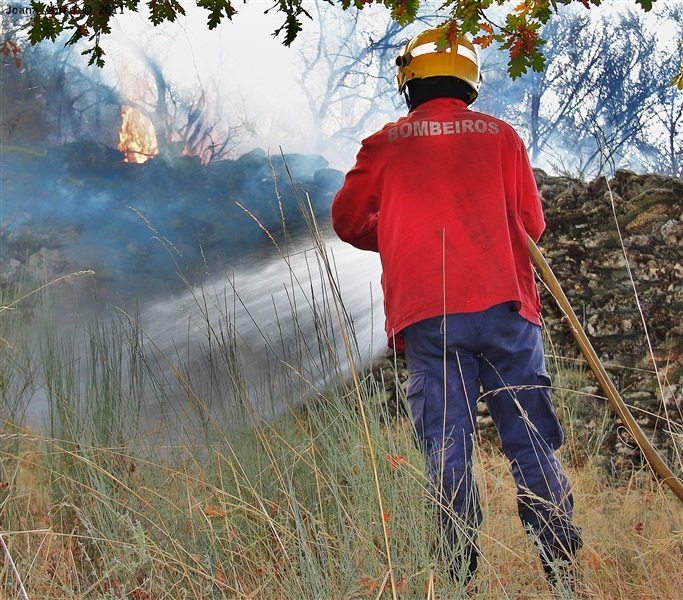 Incêndios - flagelo social