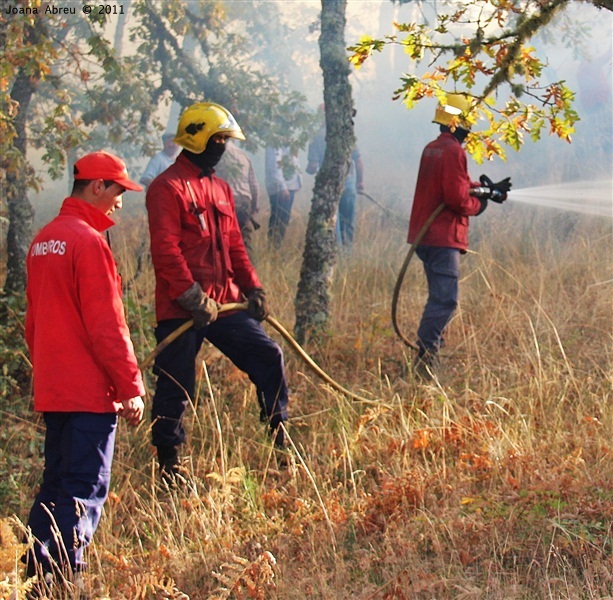 Incêndios - flagelo social