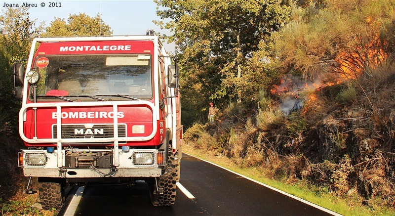 Incêndios - flagelo social