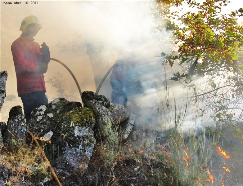 Incêndios - flagelo social