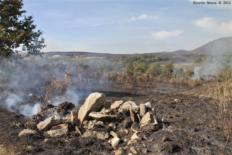 Incêndios - flagelo social