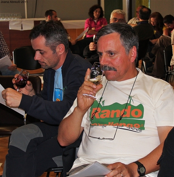 IV Encontro Micológico em Vila Nova