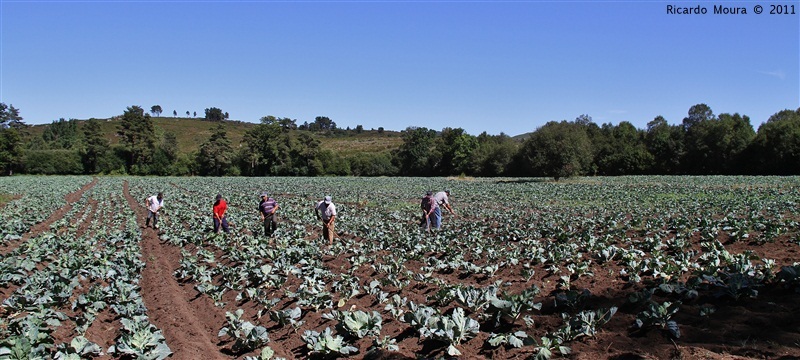 Mega couval na Quinta da Veiga