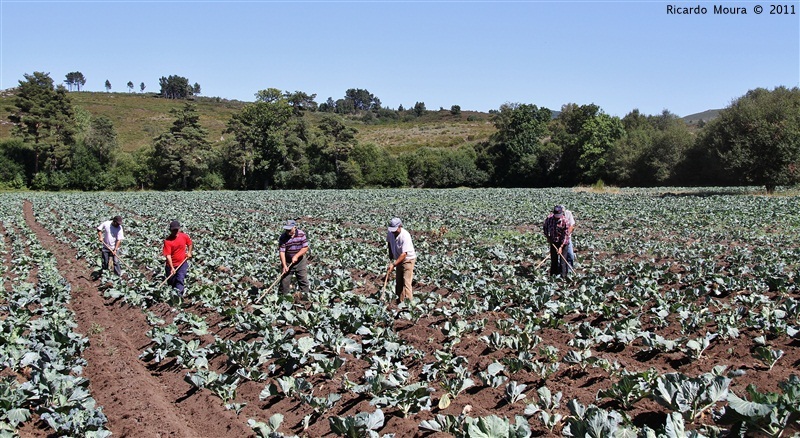 Mega couval na Quinta da Veiga