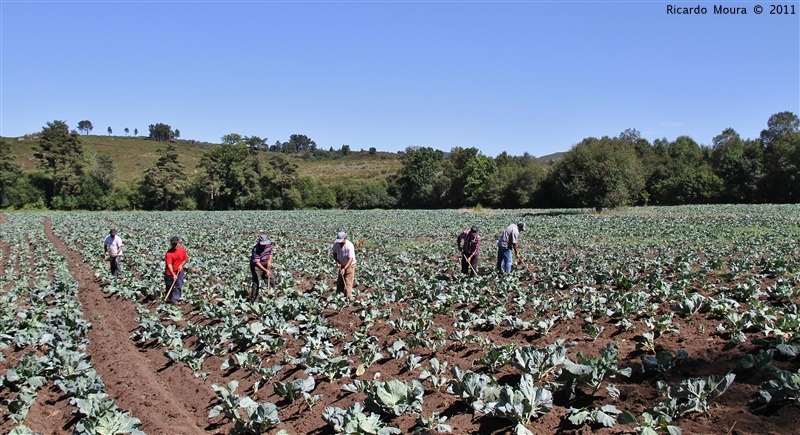 Mega couval na Quinta da Veiga