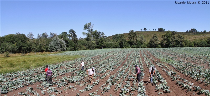 Mega couval na Quinta da Veiga