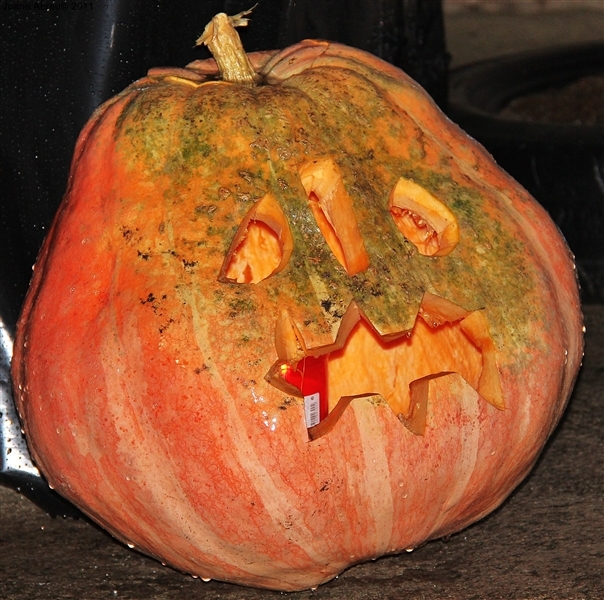 Halloween 2011 em Vilar de Perdizes