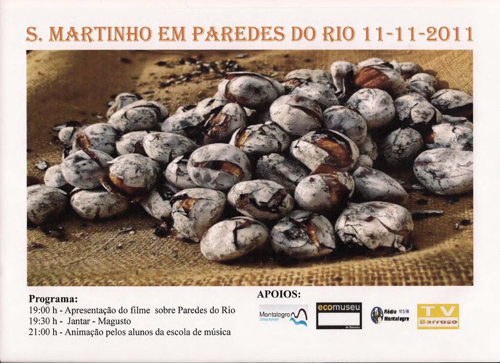 São Martinho 2011 em Paredes do Rio