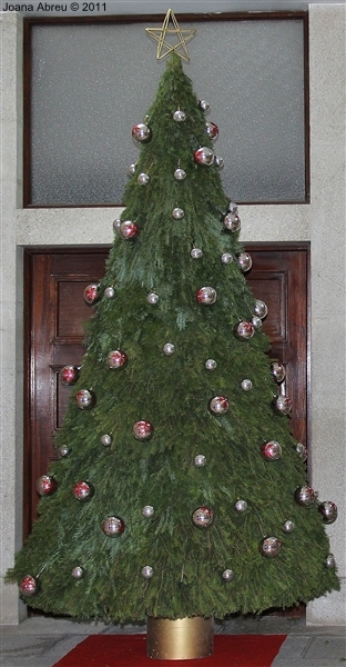 Montalegre - Decoração de Natal 2011