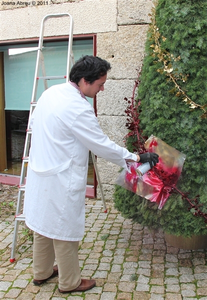 Montalegre - Decoração de Natal 2011