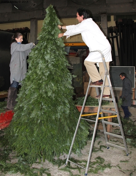 Montalegre - Decoração de Natal 2011