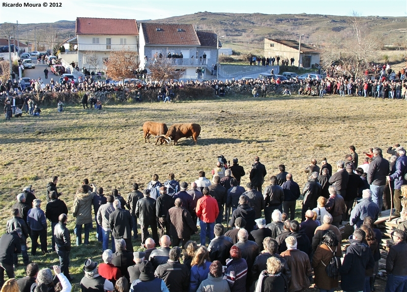 XXI Feira do Fumeiro - Chegas de Bois