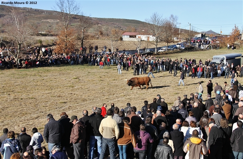 XXI Feira do Fumeiro - Chegas de Bois