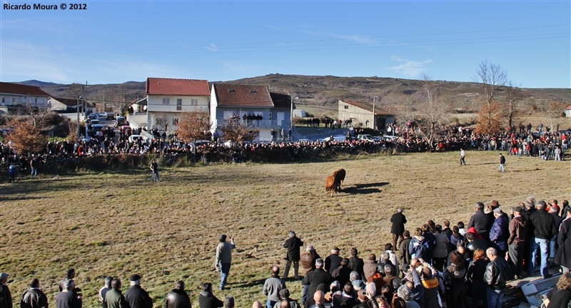 XXI Feira do Fumeiro - Chegas de Bois