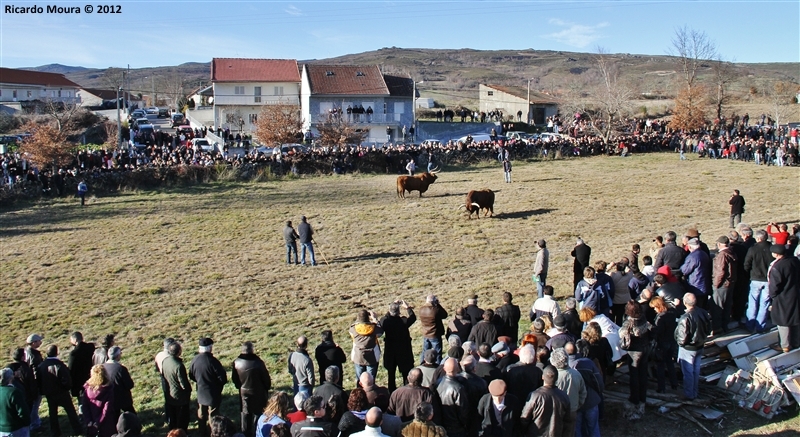 XXI Feira do Fumeiro - Chegas de Bois