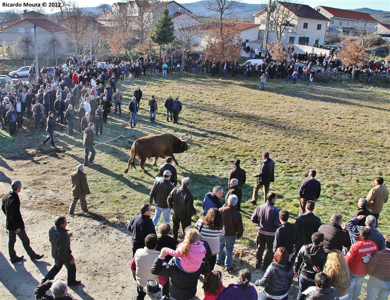 XXI Feira do Fumeiro - Chegas de Bois