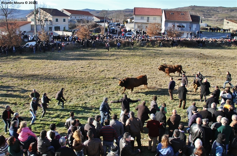 XXI Feira do Fumeiro - Chegas de Bois